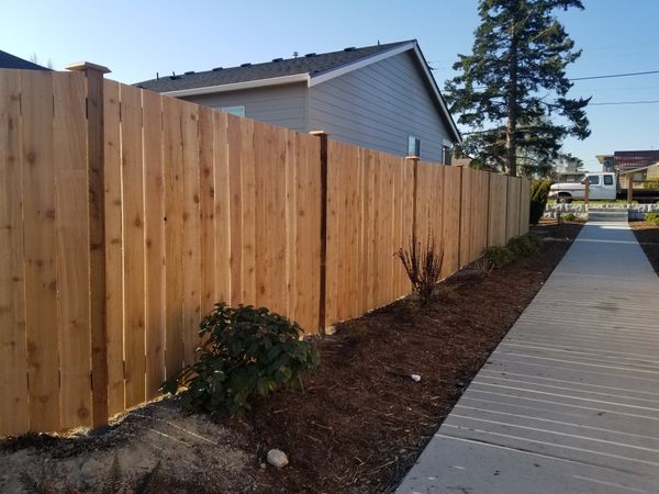 New Fence